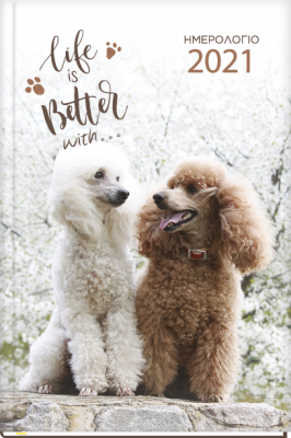DOGS-CATS-3